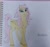 Size: 2796x2604 | Tagged: safe, artist:blackblade360, fluttershy, pegasus, pony, g4, alternate design, alternate hairstyle, barely pony related, colored pencil drawing, crossover, female, folded wings, high res, irl, long mane, long tail, looking at you, mare, missing cutie mark, paper, photo, pose, signature, smiling, smiling at you, solo, tail, traditional art, wild manes, wild manesified, wings