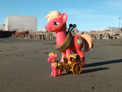 Size: 1032x774 | Tagged: safe, artist:dingopatagonico, big macintosh, earth pony, pony, g4, beach, cart, photo, self paradox, self ponidox, solo, toy