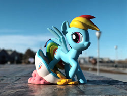 Size: 1032x774 | Tagged: safe, artist:dingopatagonico, rainbow dash, pegasus, g4, photo, solo, toy