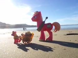 Size: 4608x3456 | Tagged: safe, artist:dingopatagonico, big macintosh, earth pony, pony, g4, argentina, beach, cart, photo, solo