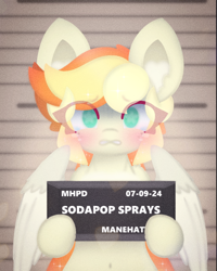 Size: 1080x1349 | Tagged: safe, artist:sodapop sprays, oc, oc only, oc:sodapop sprays, pegasus, pony, semi-anthro, barbie mugshot meme, belly, belly button, chest fluff, crying, ear fluff, guilty, jail, manehattan, meme, mugshot, solo, wide eyes