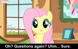 Size: 1920x1212 | Tagged: safe, edit, edited screencap, screencap, fluttershy, pegasus, pony, comic:celestia's servant interview, a bird in the hoof, g4, season 1, caption, cs captions, female, fluttershy's cottage (interior), image macro, looking at you, mare, o.o, picture frame, solo, text, window