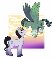 Size: 2976x3319 | Tagged: safe, artist:fizzy-dog, earth pony, pegasus, pony, duo, flying, gay, high res, jojo's bizarre adventure, jotaro kujo, looking at each other, looking at someone, male, non-mlp shipping, passepartout, ponified, rohan kishibe, stallion