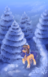 Size: 1700x2700 | Tagged: safe, artist:jsunlight, oc, oc only, oc:tabootask, earth pony, pony, chest fluff, hat, snow, snowfall, solo, winter