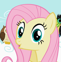 Size: 1064x1080 | Tagged: safe, screencap, fluttershy, bird, owl, pegasus, pony, toucan, g4, may the best pet win, season 2, :o, cloud, cropped, cute, female, mare, oooooh, open mouth, shyabetes