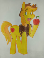 Size: 828x1104 | Tagged: safe, artist:dingopatagonico, braeburn, earth pony, pony, g4, apple, food, male, solo, stallion, traditional art