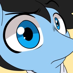 Size: 1081x1080 | Tagged: safe, artist:makaryo, oc, oc only, oc:makaroni, earth pony, pony, close-up, extreme close-up, eyebrows, fisheye lens, looking at you, male, ponysona, raised eyebrow, solo, stallion