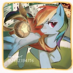 Size: 1280x1280 | Tagged: safe, artist:sunsetshimmer0808, rainbow dash, pegasus, pony, g4, aside glance, female, field, golden snitch, harry potter (series), looking at you, mare, quidditch, snitch, solo, text