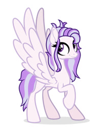 Size: 828x1024 | Tagged: safe, artist:rarityflower, oc, oc only, oc:princesa loveburst, pegasus, pony, base used, eyelashes, large wings, long mane, long tail, looking up, offspring, parent:oc:fashibulyty, parent:oc:princess chryssa, parents:oc x oc, pegasus oc, purple eyes, raised hoof, shadow, simple background, slender, smiling, solo, spread wings, standing, standing on three hooves, tail, thin, two toned mane, two toned tail, white background, wings