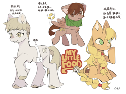 Size: 4000x3000 | Tagged: safe, artist:aki, earth pony, pegasus, pony, unicorn, chilchuck tims, chinese, clothes, coin, dungeon meshi, female, horn, laios touden, male, marcille donato, mare, ponified, scarf, simple background, stallion, text, unshorn fetlocks, white background