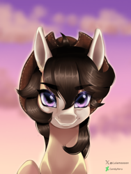 Size: 2304x3072 | Tagged: safe, artist:lulamoooon, oc, oc only, earth pony, afternoon, brown mane, cowboy hat, earth pony oc, hat, purple eyes, solo