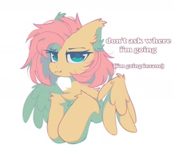 Size: 1870x1670 | Tagged: safe, alternate version, artist:mirtash, fluttershy, pegasus, pony, g4, alternate hairstyle, alternate universe, blue eyelashes, blue pupils, bust, chest fluff, colored eyelashes, colored pupils, ear fluff, ear tufts, eyelashes, female, frown, leg fluff, mare, narrowed eyes, partially open wings, pink mane, raised hooves, short hair fluttershy, short mane, simple background, solo, teal eyes, text, white background, white text, wing fluff, wings, yellow coat