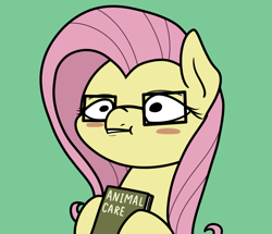 Size: 2048x1764 | Tagged: safe, artist:ewoudcponies, fluttershy, pegasus, pony, g4, blush sticker, blushing, book, bust, female, glasses, green background, mare, nerd, simple background, solo