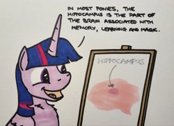 Size: 2048x1495 | Tagged: safe, artist:hoofclid, twilight sparkle, alicorn, pony, g4, brain, chart, dialogue, female, mare, marker drawing, open mouth, open smile, organs, smiling, solo, traditional art, twilight sparkle (alicorn)