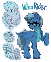 Size: 3369x4096 | Tagged: safe, artist:opalacorn, oc, oc only, oc:windrider, pegasus, pony, commission, glasses, male, name, simple background, solo, stallion, sweat, unshorn fetlocks, water bottle, white background, wing hold, wings