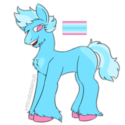 Size: 2000x2000 | Tagged: safe, artist:whimsicalseraph, oc, oc only, earth pony, pony, adoptable, blank flank, blue coat, blue mane, blue tail, cheek fluff, chest fluff, chin fluff, coat markings, colored, colored hooves, concave belly, earth pony oc, facial markings, fetlock tuft, flat colors, heart, heart mark, hooves, lidded eyes, looking down, male, no catchlights, no pupils, open mouth, open smile, pink hooves, pride, pride flag, short mane, simple background, smiling, snip (coat marking), solo, standing, tail, trans male, transgender, transgender oc, transmasculine, transmasculine pride flag, transparent background, two toned ears, two toned mane, two toned tail, unshorn fetlocks