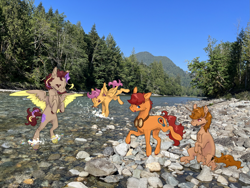 Size: 2133x1600 | Tagged: safe, artist:telesto, scootaloo, oc, oc only, oc:blazing beams, oc:coffee, oc:hors, oc:justinaloo, earth pony, pegasus, unicorn, g4, eyes closed, forest, goggles, horn, jumping, mountain, nature, photo, river, rock, sitting, smiling, splash, spread wings, stream, tree, washington, water, wings