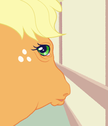 Size: 540x627 | Tagged: safe, artist:bishopony, part of a set, applejack, earth pony, pony, g4, female, fisheye lens, hoers, looking at you, looking back, looking back at you, mare, meme, perspective, ponified animal photo, ponified meme, solo