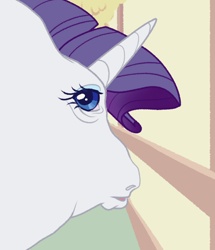 Size: 540x627 | Tagged: safe, artist:bishopony, part of a set, rarity, pony, unicorn, g4, female, fisheye lens, hoers, horn, looking at you, looking back, looking back at you, mare, meme, perspective, ponified animal photo, ponified meme, solo