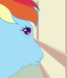 Size: 540x627 | Tagged: safe, artist:bishopony, part of a set, rainbow dash, pegasus, pony, g4, female, fisheye lens, hoers, looking at you, looking back, looking back at you, mare, meme, perspective, ponified animal photo, ponified horse photo, ponified meme, solo