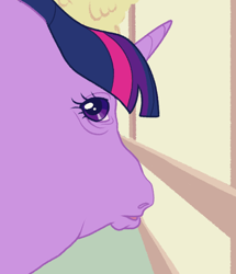 Size: 540x627 | Tagged: safe, artist:bishopony, part of a set, twilight sparkle, pony, unicorn, g4, female, fisheye lens, hoers, horn, looking at you, looking back, looking back at you, mare, meme, perspective, ponified animal photo, ponified horse photo, ponified meme, solo