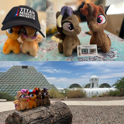 Size: 894x894 | Tagged: safe, oc, oc only, oc:blazing beams, oc:coffee, oc:hors, oc:justinaloo, pegasus, pony, unicorn, arizona, biosphere 2, cap, glasses, goggles, hat, horn, irl, photo, plushie, titan missile museum