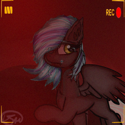 Size: 6000x6000 | Tagged: safe, artist:derpyshy, oc, oc only, pegasus, pony, camera shot, solo