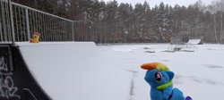 Size: 3264x1464 | Tagged: safe, artist:kuba18i, rainbow dash, scootaloo, pegasus, pony, g4, duo, duo female, female, irl, outdoors, photo, plushie, poland, ponies around the world, ponies in real life, pony plushie, ramp, skate park, snow, sosnowiec