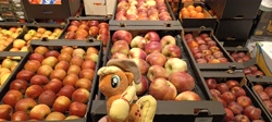 Size: 4080x1830 | Tagged: safe, artist:kuba18i, applejack, earth pony, pony, g4, apple, food, irl, photo, plushie, poland, ponies around the world, ponies in real life, pony plushie, selgros, shop, solo