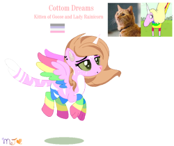 Size: 600x503 | Tagged: safe, artist:nightlightapocalypse, artist:selenaede, oc, oc:cotton dreams, alicorn, cat, cat pony, hybrid, original species, pony, adventure time, cat nose, cat tail, coat markings, colored horn, colored pinnae, colored wings, crossover, crossover ship offspring, crossover shipping, cupiosexual pride flag, ear piercing, earring, facial markings, fangs, female, flying, freckles, goose (marvel), green sclera, hazel eyes, horn, implied bestiality, infidelity, interspecies, interspecies offspring, jewelry, lady rainicorn, male, mare, misspelling, multicolored wings, non-mlp oc, non-mlp shipping, offspring, pale belly, parent:goose (marvel), parent:lad, paws, piercing, rainbow wings, rainicorn, shipping, simple background, spread wings, star (coat marking), striped tail, tail, transparent background, wings