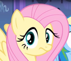 Size: 485x416 | Tagged: safe, screencap, fluttershy, rainbow dash, pony, g4, reaction image, solo