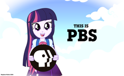 Size: 9920x6101 | Tagged: safe, artist:stephen-fisher, twilight sparkle, human, equestria girls, g4, female, pbs, solo