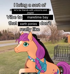 Size: 640x669 | Tagged: safe, artist:catharsis_pigeon, sunny starscout, earth pony, horse, pony, g5, bag, blaze (coat marking), coat markings, facial markings, female, fluttershy's cutie mark, hoers, irl, mane stripe sunny, meme, photo, ponified meme, rainbow dash's cutie mark, saddle bag, smiling, socks (coat markings), solo, twilight sparkle's cutie mark