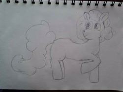 Size: 4032x3024 | Tagged: safe, artist:crystaline, derpibooru exclusive, oc, oc only, oc:kristal (crystaline), earth pony, pony, monochrome, photo, simple background, solo, traditional art, white background