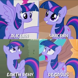 Size: 828x828 | Tagged: safe, artist:vanesasarbu, edit, edited screencap, screencap, twilight sparkle, alicorn, earth pony, pegasus, pony, unicorn, a canterlot wedding, g4, season 2, season 4, the return of harmony, three's a crowd, earth pony twilight, female, golden oaks library, mare, pegasus twilight sparkle, race swap, solo, twilight sparkle (alicorn), unicorn twilight