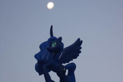 Size: 1095x730 | Tagged: safe, artist:dingopatagonico, princess luna, alicorn, g4, female, mare, moon, photo, solo, toy