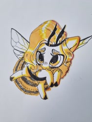 Size: 1920x2560 | Tagged: safe, artist:ekot, pipp petals, bee, bee pony, hybrid, insect, original species, pony, g5, bumblebipp, female, limited palette, mare, marker drawing, photo, shy, simple background, solo, species swap, traditional art