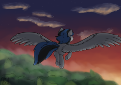 Size: 1881x1325 | Tagged: safe, artist:key, oc, oc only, oc:kezzie, pegasus, g4, female, flying, forest, nature, no dialogue, pegasus oc, scenery, solo, spread wings, sunrise, tree, wings