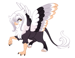 Size: 3500x2700 | Tagged: safe, artist:gigason, oc, oc only, oc:salem, griffon, g4, adoptable, beak, brown coat, colored claws, colored legs, colored paws, colored wings, colored wingtips, eye markings, eyelashes, facial markings, gradient mane, gradient wings, head fluff, leonine tail, lidded eyes, looking back, magical lesbian spawn, mismatched claws, multicolored wings, offspring, parent:gilda, parent:oc:secret tarry, parents:canon x oc, raised claw, raised leg, simple background, slit pupils, smiling, solo, spread wings, standing on two hooves, tail, thin tail, transparent background, two toned tail, watermark, wavy mane, white mane, white tail, wings, yellow eyes