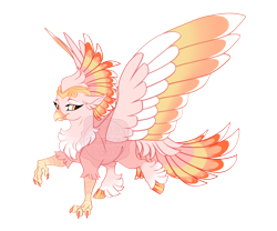 Size: 4800x4000 | Tagged: safe, artist:gigason, oc, oc only, oc:gold beak, hippogriff, g4, adoptable, beak, chest fluff, coat markings, colored chest fluff, colored claws, colored eyebrows, colored hooves, colored legs, colored wings, colored wingtips, ear fluff, eye markings, eyelashes, facial markings, feathered tail, female, fetlock tuft, frown, gradient beak, gradient legs, gradient wings, hooves, leg fluff, looking back, multicolored tail, multicolored wings, obtrusive watermark, offspring, orange hooves, parent:oc:secret tarry, parent:queen novo, parents:canon x oc, pink coat, raised claw, raised leg, shiny hooves, simple background, socks (coat markings), solo, spread wings, standing on two hooves, tail, transparent background, watermark, wings, yellow eyes