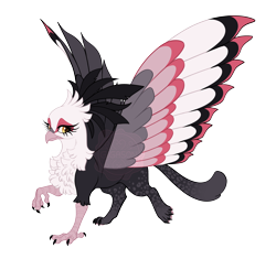 Size: 4900x4600 | Tagged: safe, artist:gigason, oc, oc only, oc:secret tarry, bird, griffon, secretary bird, adoptable, beak, cat tail, chest fluff, coat markings, colored chest fluff, colored claws, colored wings, colored wingtips, eye markings, facial markings, female, gradient tail, head fluff, long eyelashes, looking back, multicolored wings, raised claw, raised leg, simple background, solo, spread wings, standing on two hooves, tail, transparent background, watermark, wings, yellow eyes