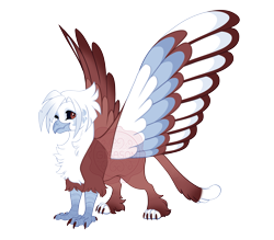 Size: 4800x4200 | Tagged: safe, artist:gigason, oc, oc only, oc:river, griffon, absurd resolution, adoptable, beak, black sclera, brown coat, brown eyes, cat tail, chest fluff, colored claws, colored legs, colored wings, colored wingtips, eye clipping through hair, eye markings, facial markings, gradient legs, griffon oc, leg fluff, looking back, multicolored wings, nonbinary, nonbinary oc, simple background, solo, spread wings, standing, tail, tail fluff, transparent background, two toned hair, two toned tail, watermark, wings