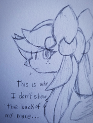 Size: 1407x1876 | Tagged: safe, artist:sodapop sprays, oc, oc only, oc:sodapop sprays, pegasus, pony, chest fluff, embarrassed, freckles, looking at you, looking back, pigtails, solo, text, traditional art, twintails, worried