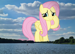 Size: 2048x1482 | Tagged: safe, artist:andoanimalia, edit, editor:jaredking779, fluttershy, pegasus, pony, g4, cute, female, folded wings, giant pony, giantess, giantshy, highrise ponies, hoof to cheek, irl, lake, looking at you, macro, mare, nature, photo, ponies in real life, raised hoof, shyabetes, smiling, solo, story included, water, wings