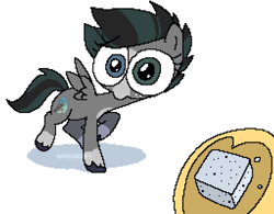 Size: 1280x1000 | Tagged: safe, artist:doodlesinky, oc, oc only, oc:inky doodles, pegasus, big eyes, blaze (coat marking), coat markings, curious, facial markings, freckles, heterochromia, hooves, pegasus oc, simple background, solo, sugarcube, unshorn fetlocks, variant, white background