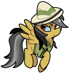 Size: 835x900 | Tagged: safe, artist:kindakismet, daring do, pegasus, pony, g4, clothes, hat, pith helmet, shirt, simple background, solo, transparent background