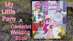 Size: 1280x720 | Tagged: safe, princess cadance, shining armor, alicorn, pony, unicorn, a canterlot wedding, g4, my little pony: friendship is magic, book, duo, duo male and female, female, horn, irl, male, merchandise, photo, text, youtube thumbnail