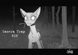 Size: 2480x1748 | Tagged: safe, artist:charlot, oc, oc only, alicorn, earth pony, pegasus, pony, unicorn, any gender, any race, any species, auction, auction open, camera shot, camera trap, commission, creepy, forest, glowing, glowing eyes, horn, horror, looking at you, monochrome, nature, sketch, solo, tree, uncanny valley, ych sketch, your character here