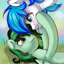 Size: 2048x2048 | Tagged: safe, artist:kristina, oc, oc only, oc:eden shallowleaf, oc:lighty, pegasus, pony, commission, couple, cute, duo, heart, summer, ych result