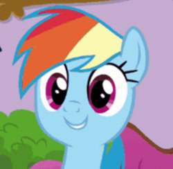 Size: 565x552 | Tagged: safe, screencap, rainbow dash, pegasus, pony, deep tissue memories, g4, my little pony: friendship is forever, blue coat, bust, close-up, cropped, cute, dashabetes, magenta eyes, multicolored hair, photo, rainbow hair, smiling, solo, wide eyes